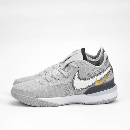 Nike Zoom LeBron NXXT Gen