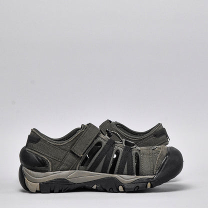 Shaol Bay Sea Turtle-Taupe O014424