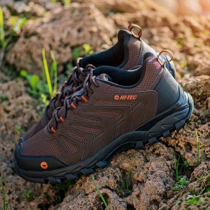 Grand Paradiso Low O014076